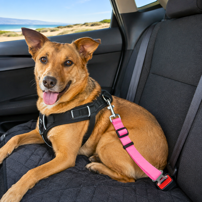 Pawfari™ SafeRide Pet Seat Belt